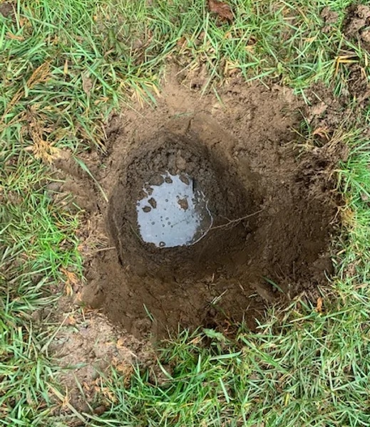 Failed Septic System